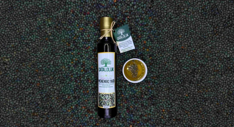 Terebinth Seeds: Nature’s Energy Depot and Healing Miracle