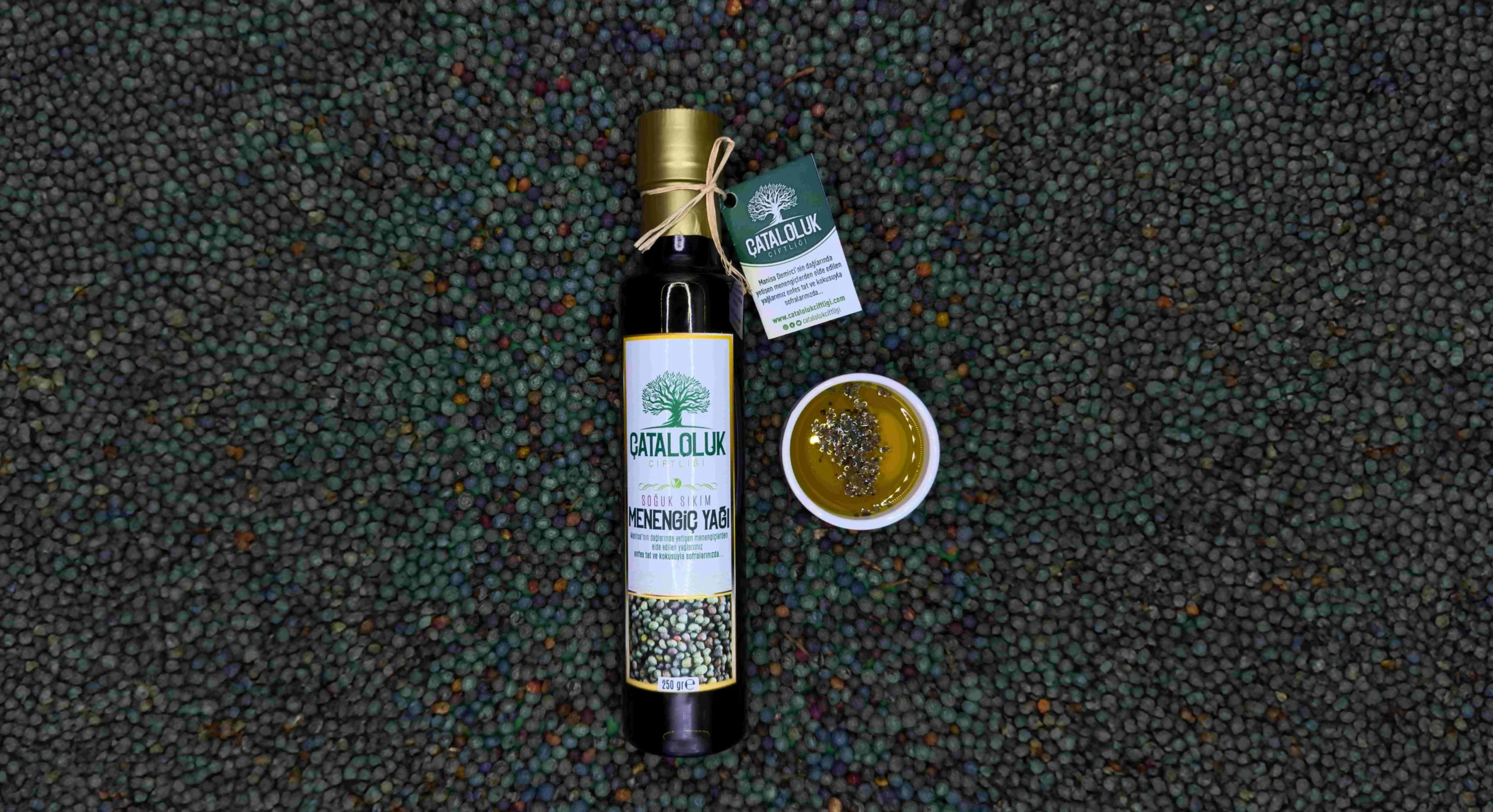 Terebinth Seeds: Nature’s Energy Depot and Healing Miracle