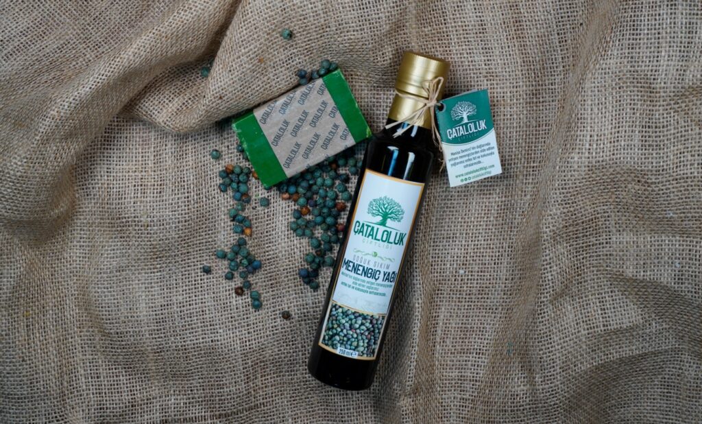 Terebinth Seeds: Nature’s Energy Depot and Healing Miracle 1